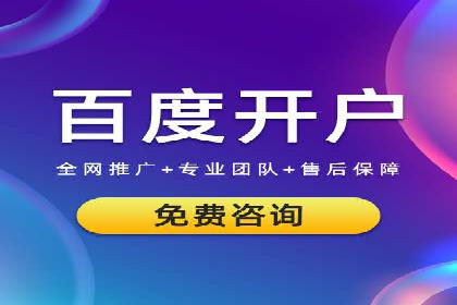 百度推广全攻略：成功案例剖析